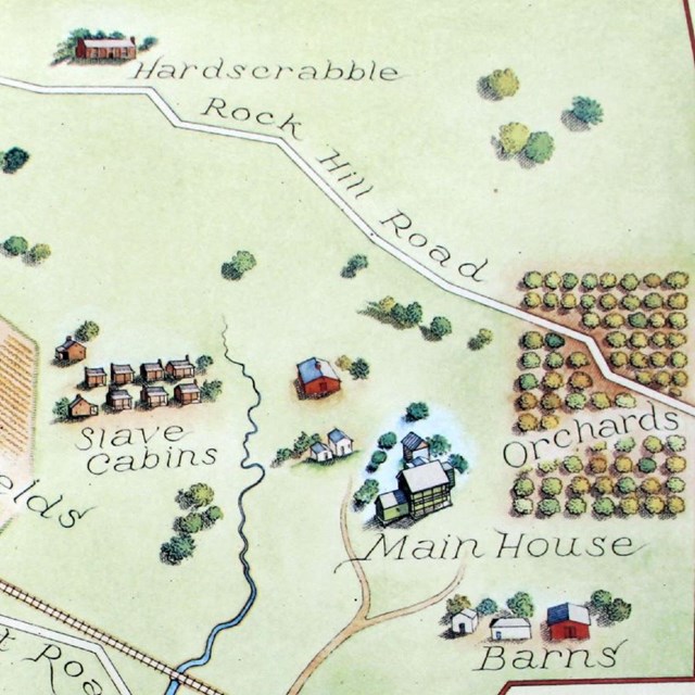 Map of plantation. 