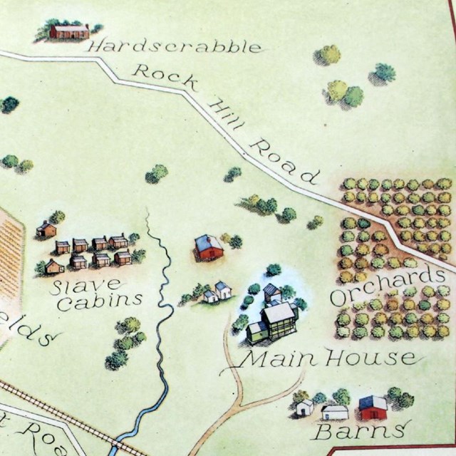 Illustrated map of plantation site.
