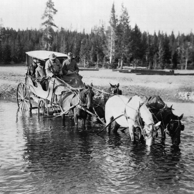 Fording the Firehole River, near Fountain Hotel, Yellowstone National Park