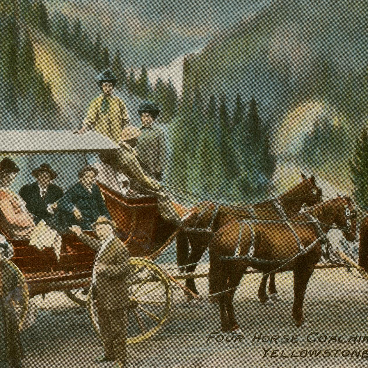 Four Horse Coaching Party / Yellowstone Park, Wyo.