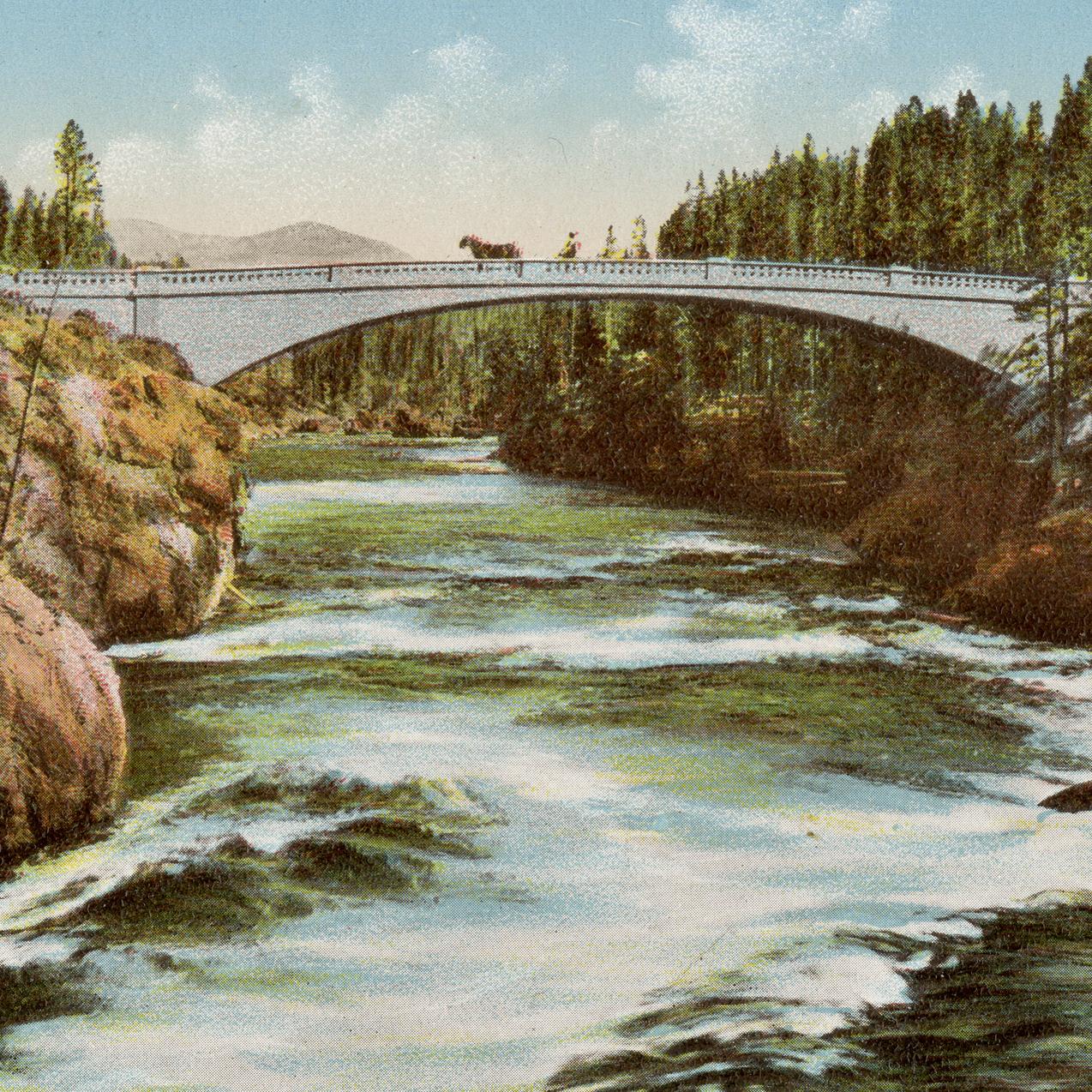 Canyon Bridge - Yellowstone Park (Postcard)