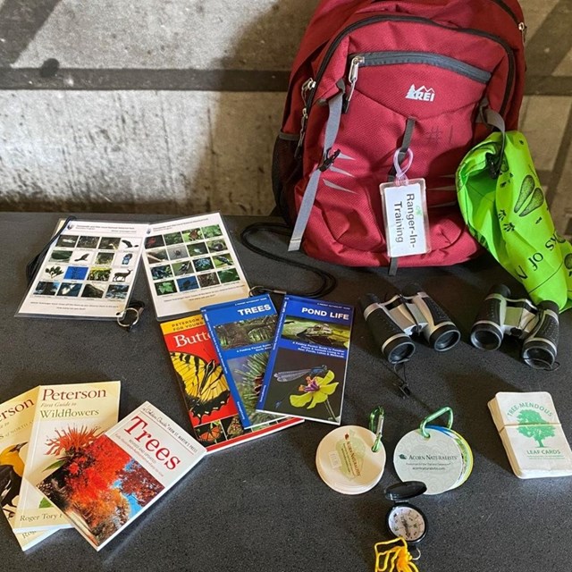 An explorer backpack with its contents laid out on table.