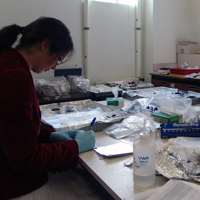 Two techs crouch over a table of artifacts
