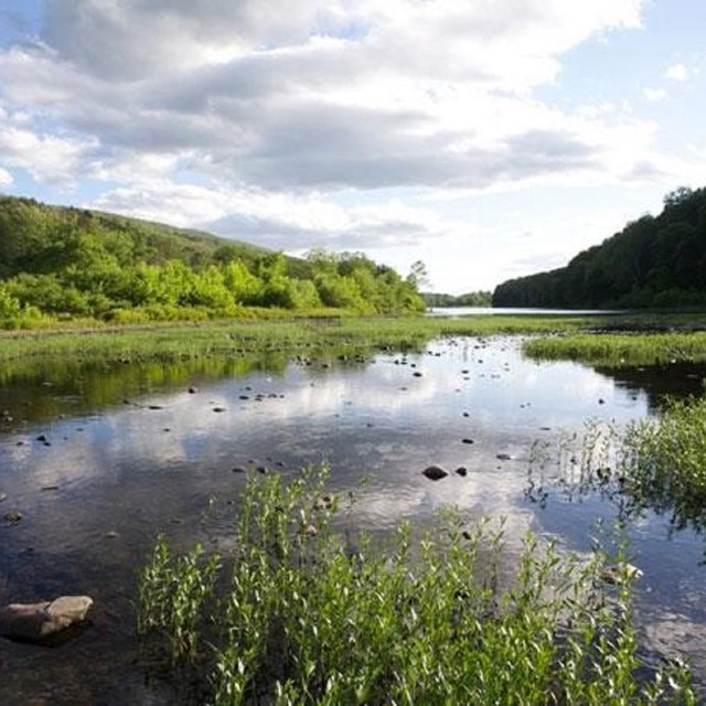  Lower Delaware Wild and Scenic River
