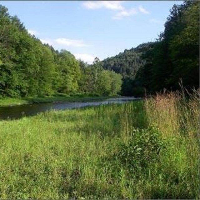 Westfield Wild and Scenic River