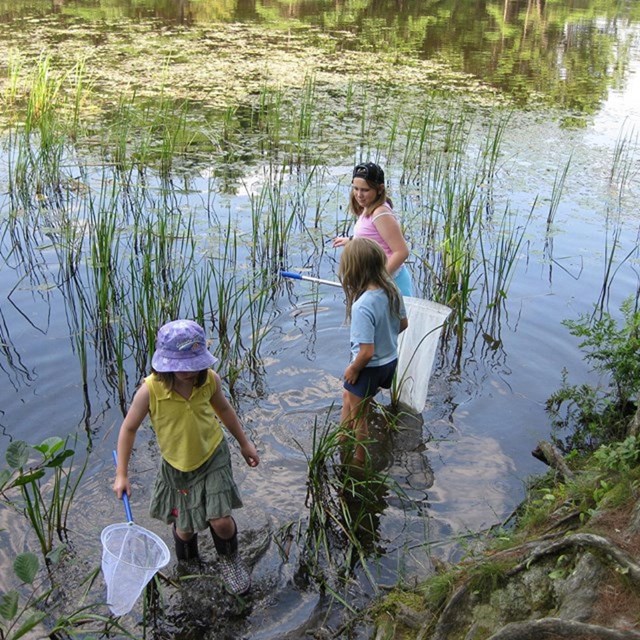 Water Quality