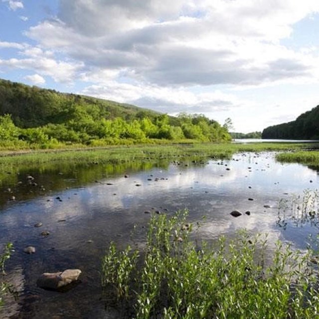 Conservation Initiatives 