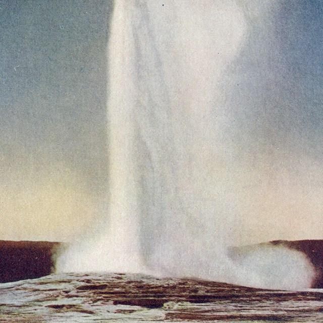 Old Faithful Geyser Postcard