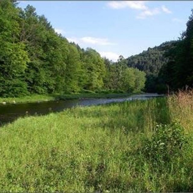 Conservation