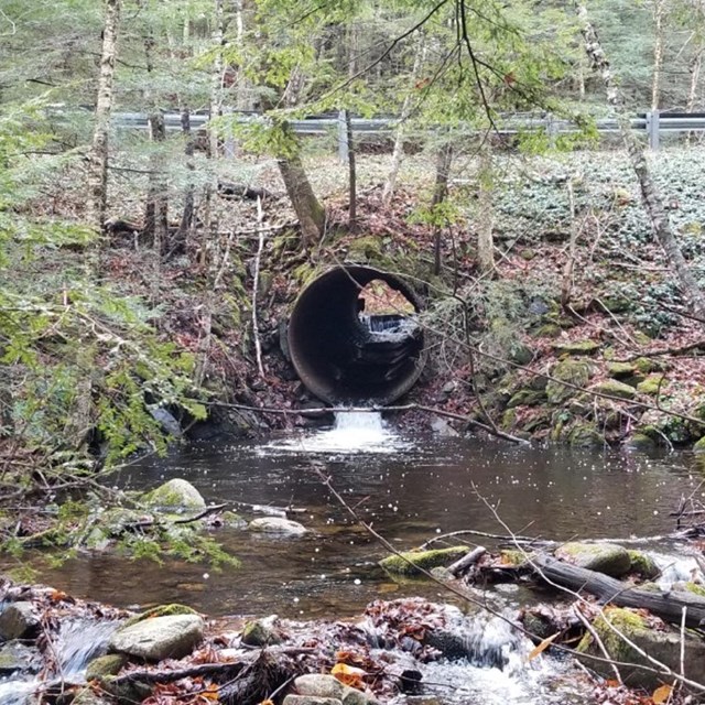 Water Quality