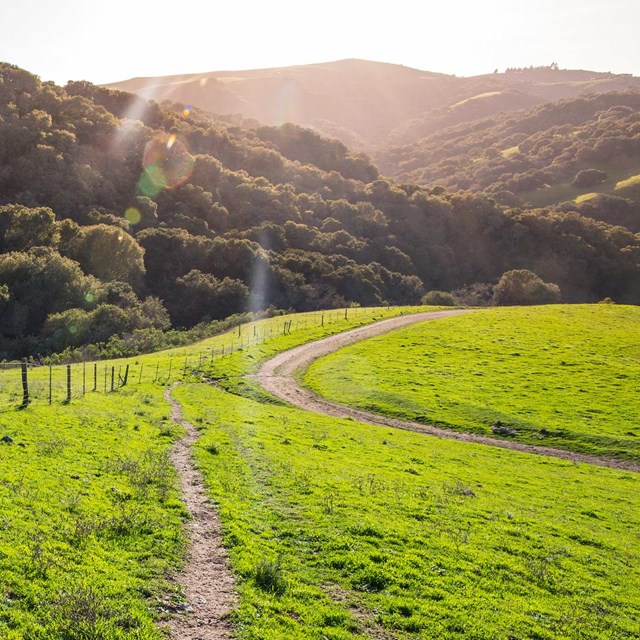 Winding path up grassy hill. Tree covered hills in background