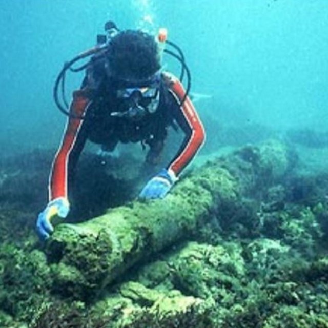 Diver with underwater artifacts. 