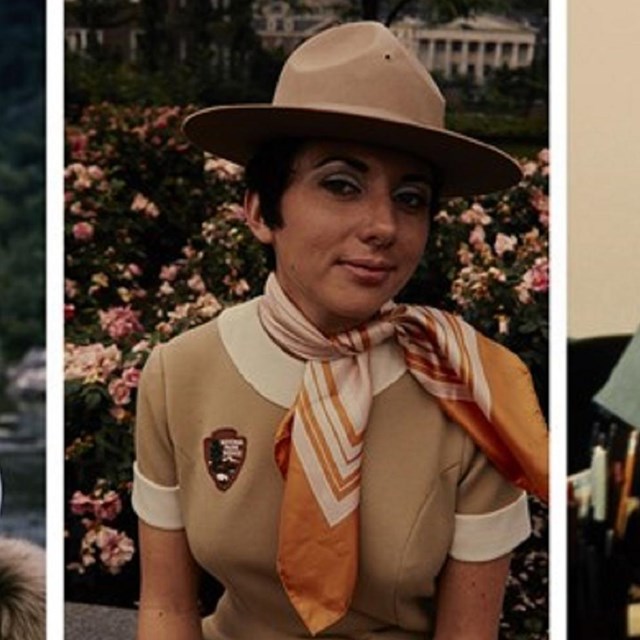 Banner image of five different women in different NPS uniforms