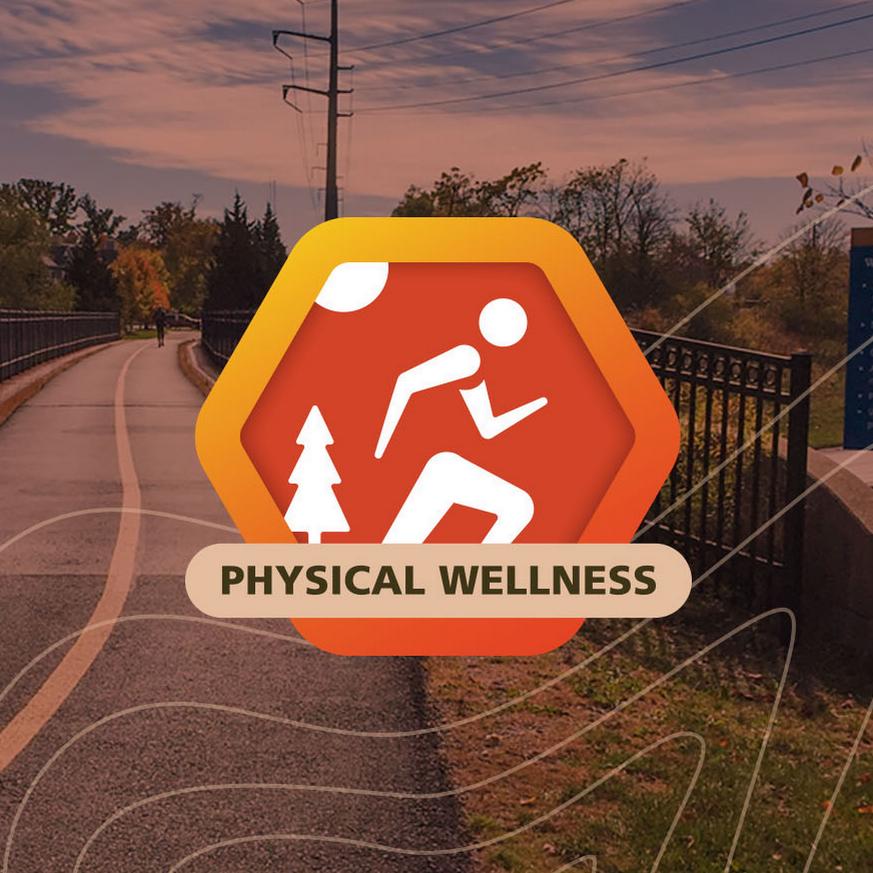 orange hexagon with a person moving inside and a tree to the left and sun at the top.