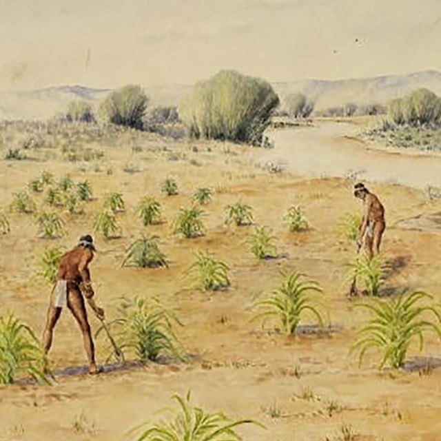 Native Americans farming a field