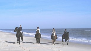 Image of four horses and riders on beach
