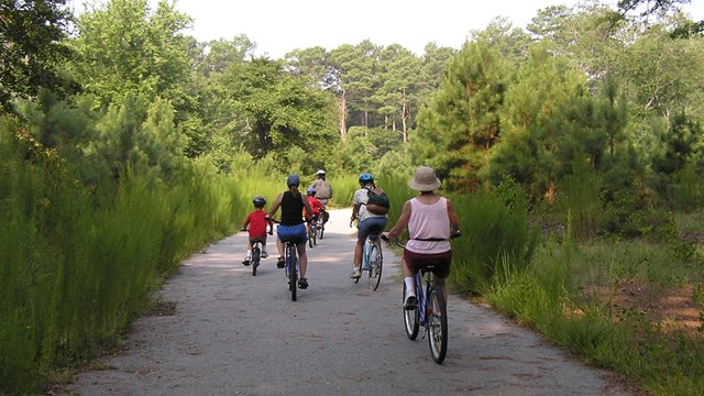 photo of visitors riding bikes on a trail in the park