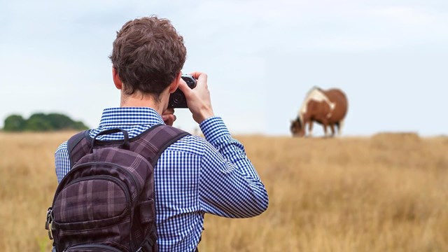 visitor photographing wild horse