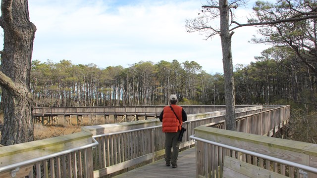 picture of boardwalk on Life of the Forest trail in Maryland District
