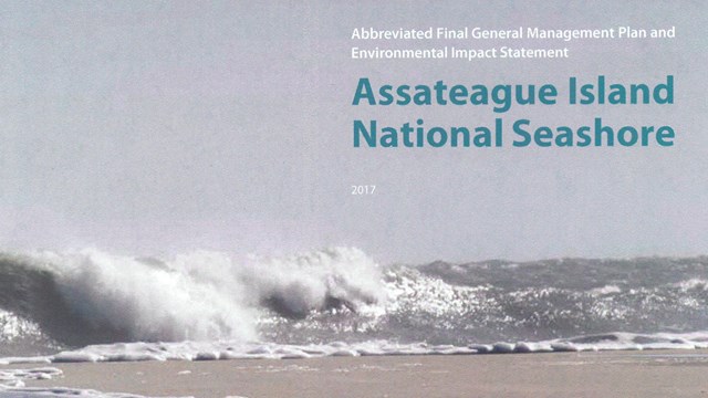 Cover photo of the GMP showing ocean waves crashing on beach. Photo credit:Allen Sklar