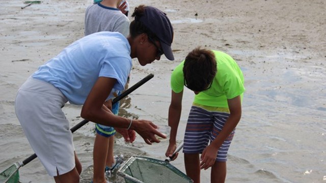 Internships at Assateague Island National Seashore