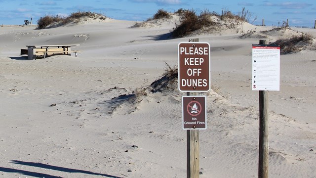 A signed regulation reminding visitors to keep off of the dunes.