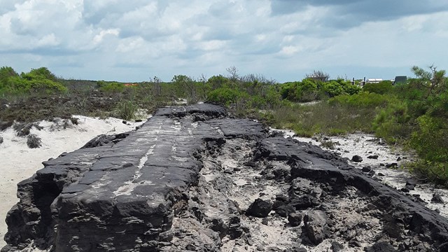 image of abandoned asphalt roadway in middle of dunes and shrub thicket habitat