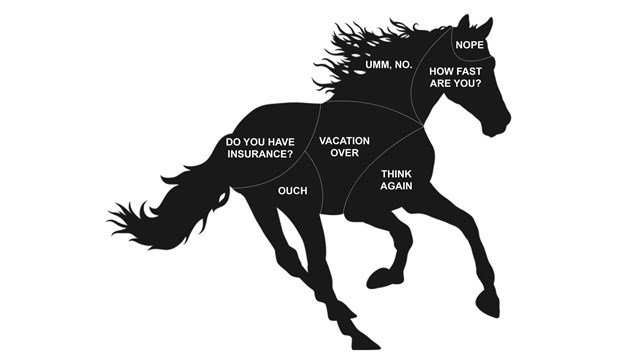 Graphic of horse showing outcomes (ouch, vacation over, nope, think again) of petting wild horses