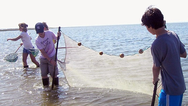 photo of students using seine and dip nets on a Marine Explorers Program