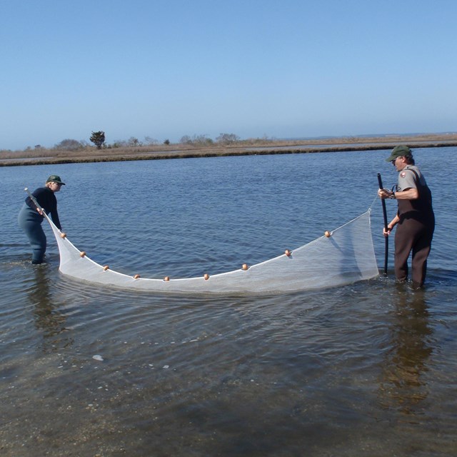 A ranger shows students how to use a seine net.