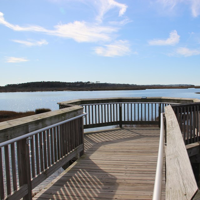 Boardwalk overlooking the bay on the Life of the Marsh Trail