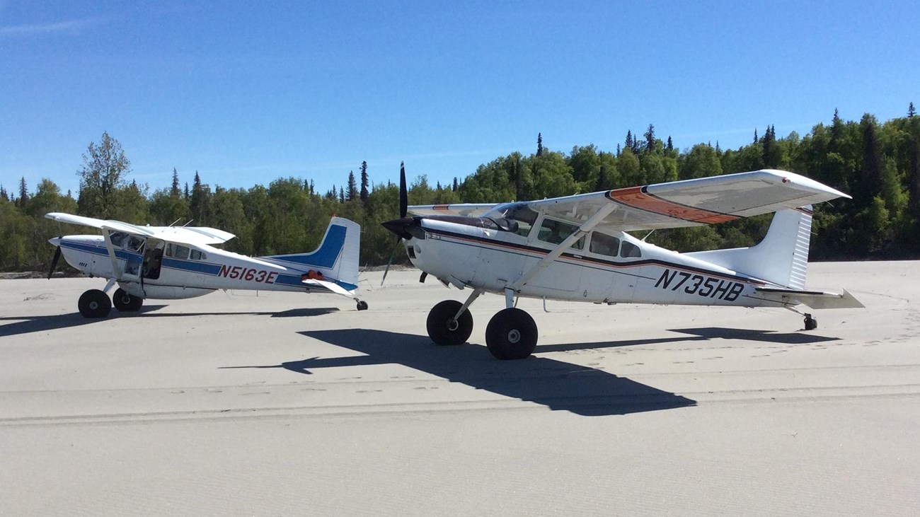 Two airplanes with large wheels sit on a beach in front of several trees