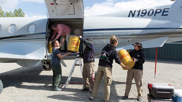 Four people help load an airplane with cargo