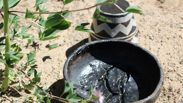 A painted pottery piece next to boiled Rocky Mountain Bee Plant that creates a black tar substance.