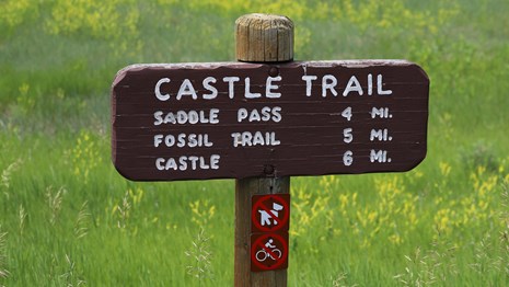 signpost indicating mileage with the title "castle trail"