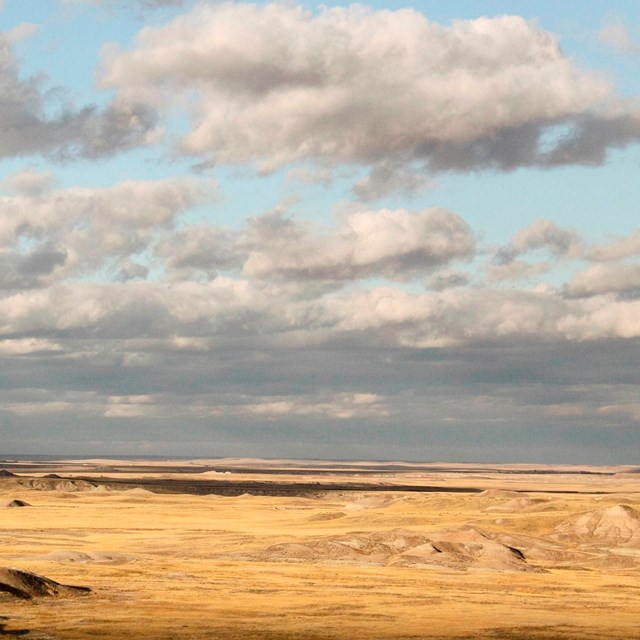 a wide, cloudy sky stretches over rolling plains, drenched in golden sunlight.