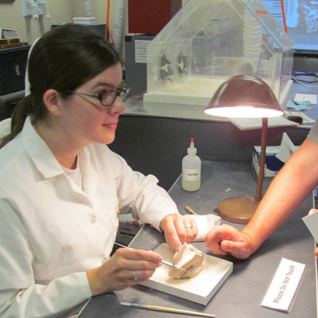 a woman in a white lab coat looks up from working on a fossil to talk with a visitor.