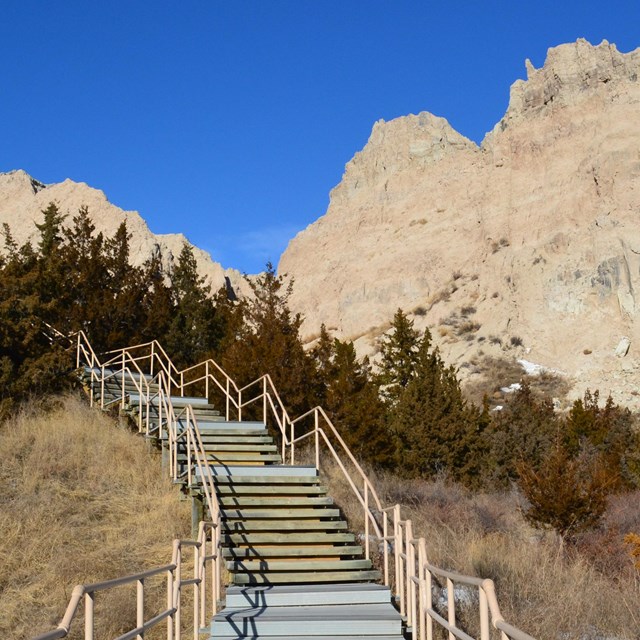 a set of stairs climbs up a grassy slope with trees and badlands buttes at the top.
