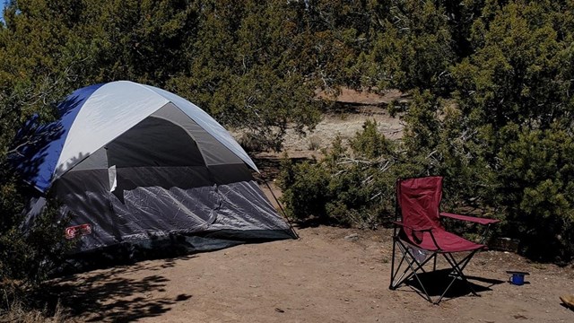 a trailer sits in a campsite surrounded by trees