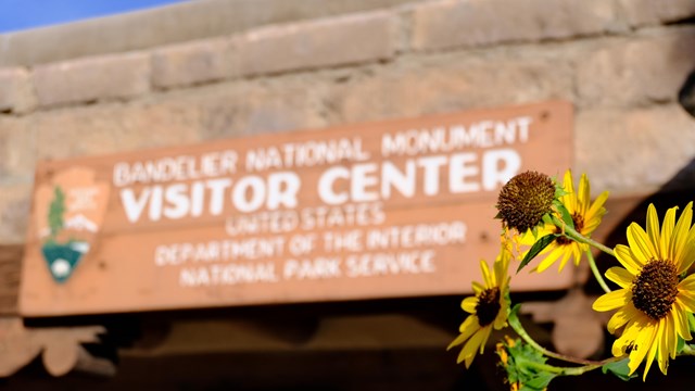 yellow sunflowers are focused the foreground as the Bandelier Visitor Center sign is in the back.