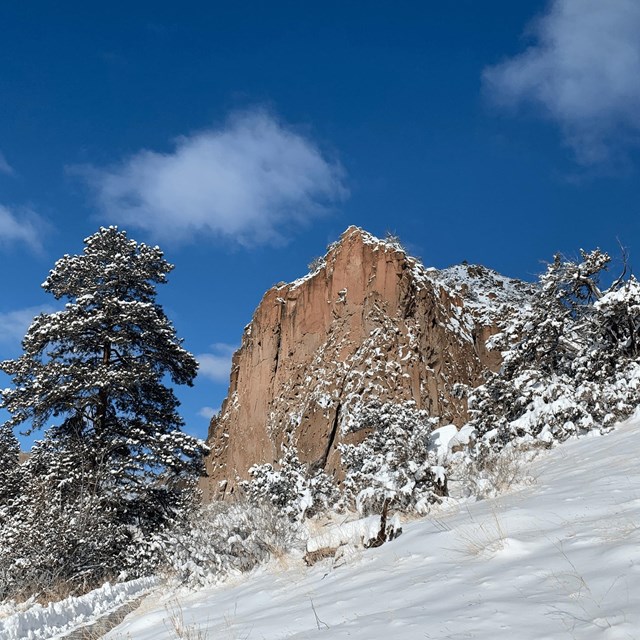 White snow covers the ground, trees, and cliff. The sky is blue.