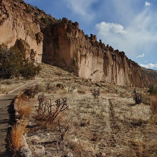A pinkish brown cliff with a trail running along its base.