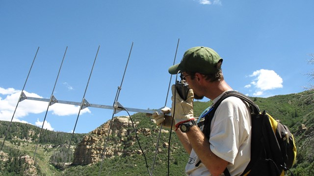 scientists holds radiotransmitter