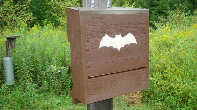 A brown box with bat stencil on a pole