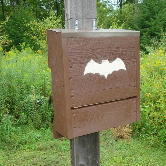 A brown box with bat stencil on a pole