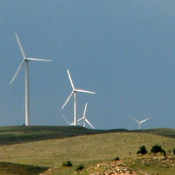 Grassland with wind tubines