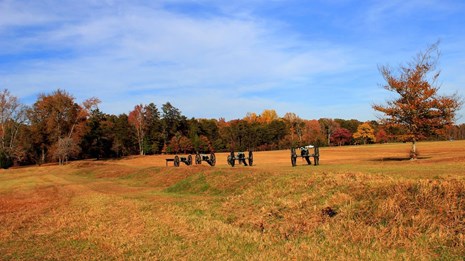 Battlefield Land Acquisition Grants