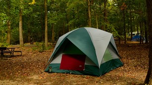 a tent in the Greenbelt Park campground