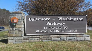 Gladys Noon Spellman