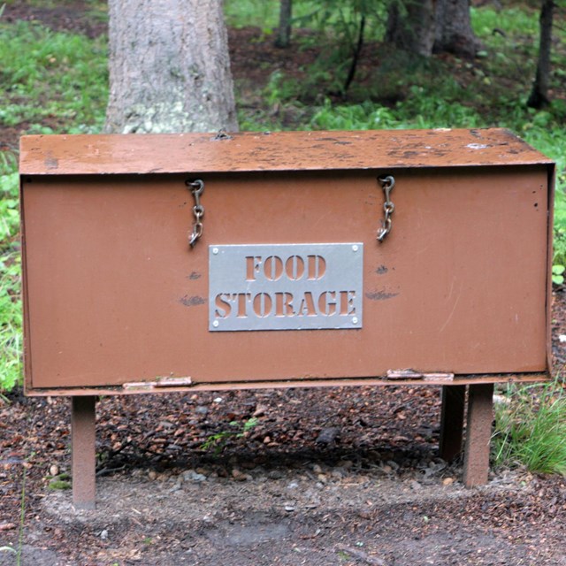 Food storage container with chains and locks